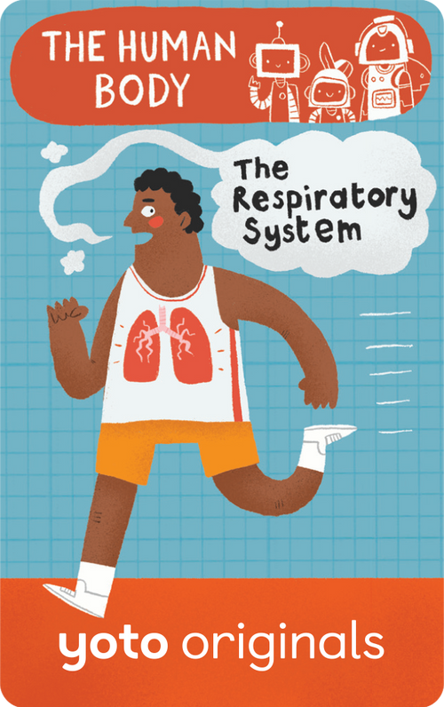 BrainBots: The Human Body