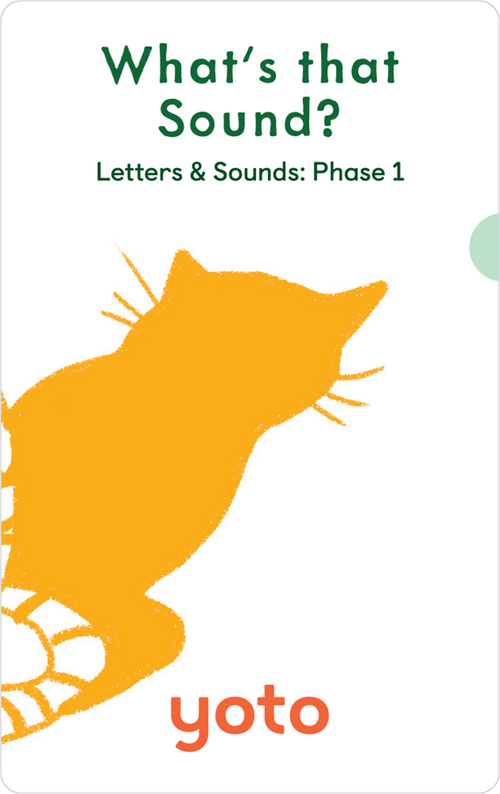 Phonics: Letters & Sounds: Phase 1